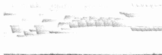 střízlík kanadský - ML619200197