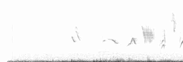 Пестрогрудая овсянка - ML619200302