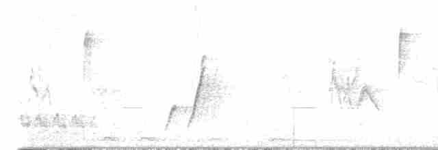 Кривоклювый пересмешник - ML619201522