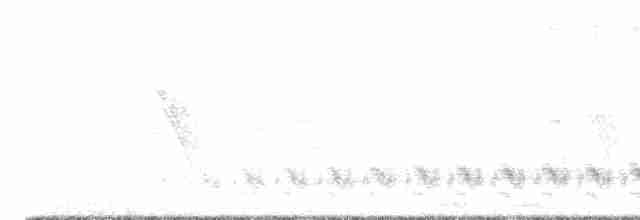Кактусовый крапивник - ML619201619