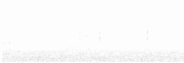 Болотянка чорногорла - ML619201673