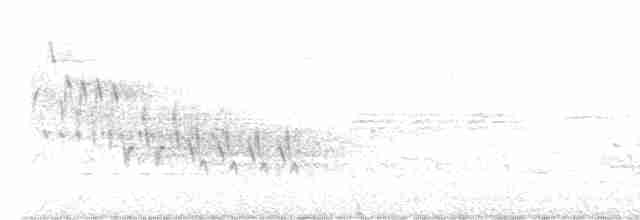雑種 キンバネアメリカムシクイ ｘ アオバネアメリカムシクイ（F2戻し交配） - ML619202100