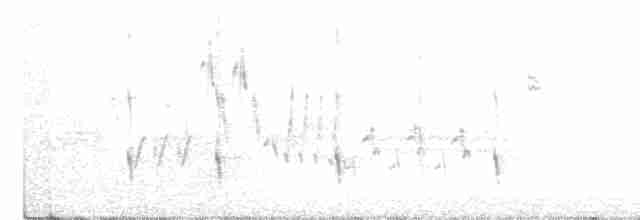 Черноспинный трёхпалый дятел - ML619202150