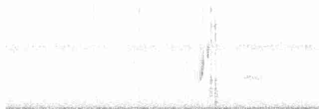 Ивовый мухолов - ML619203022