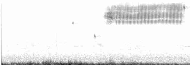 Çekirge Sesli Çayır Serçesi - ML619203062