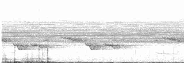 Белогрудый крапивник - ML619203718