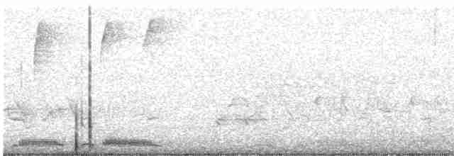 Инкская земляная горлица - ML619204688