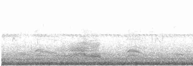 rybák velkozobý - ML619204776