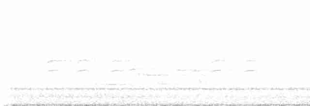 Дрозд-отшельник - ML619204861