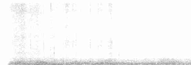 Ширококрылый канюк - ML619204926