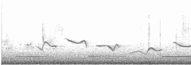 svartkronesjagra (senegalus gr.) - ML619204956