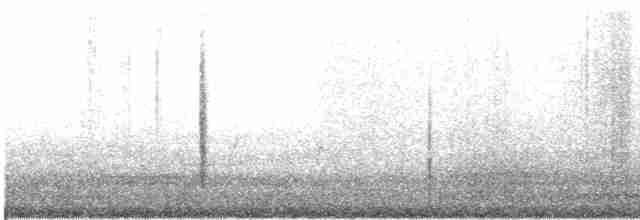 Txinbo papargorrizta iberiarra - ML619204977