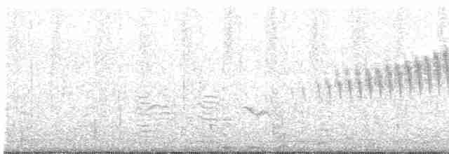 Paruline à collier - ML619205301