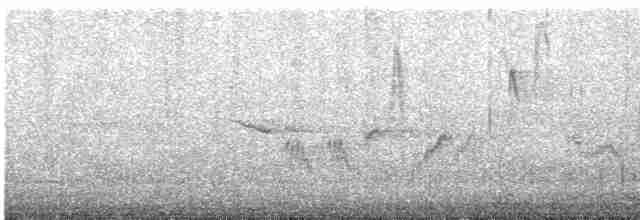 Обыкновенная горихвостка (phoenicurus) - ML619205573
