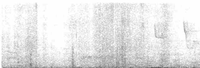 Common Chiffchaff (Common) - ML619205744