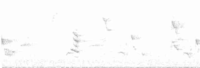 Cerulean Warbler - ML619206376
