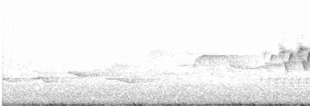 Cerulean Warbler - ML619206770