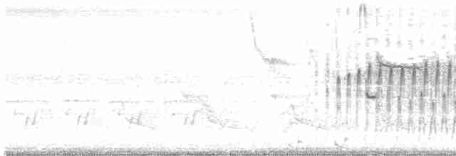 vlhovec hnědohlavý - ML619207195