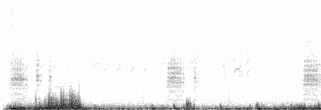白翅黑燕鷗 - ML619207339