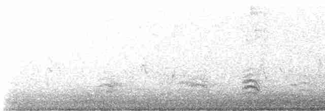 Weißbrustkleiber - ML619207544