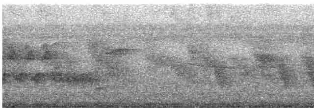 Белоухий крапивник - ML619208211
