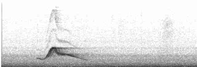 Pauraquenachtschwalbe - ML619208591