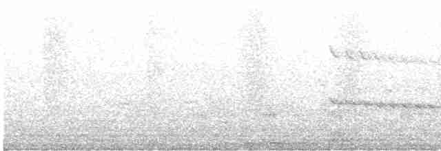 Alción de Esmirna - ML619208667