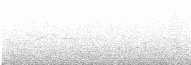 Alción de Esmirna - ML619208679