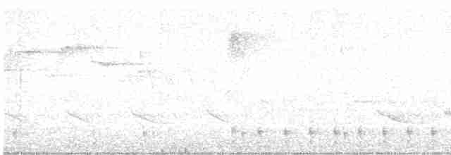 Yellow-billed Cuckoo - ML619209839