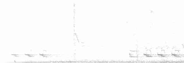 Black-billed Cuckoo - ML619210000
