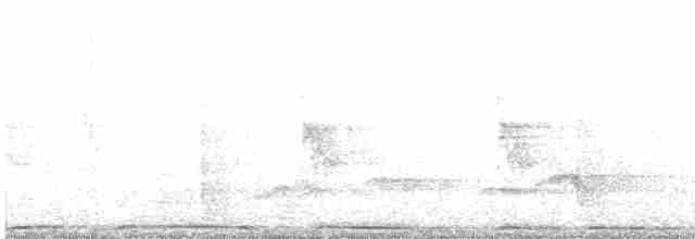 holub hřivnáč - ML619210668