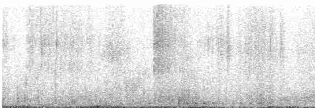 Kara Kanatlı Yer Kumrusu - ML619210735