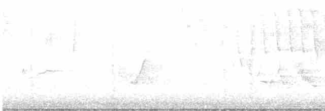 Піві-малюк жовточеревий - ML619211242