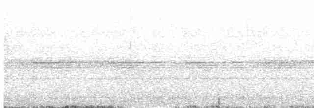 Graubrust-Ameisendrossel - ML619211523