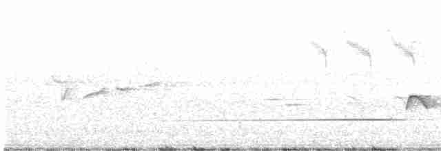 Brownish-flanked Bush Warbler - ML619213473