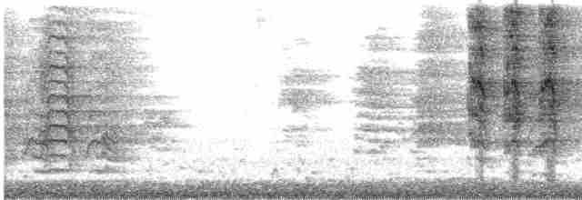 Зелонощёкая которра - ML619214047