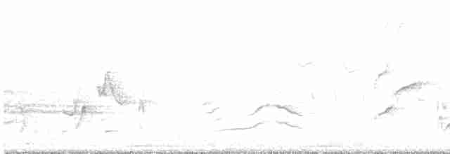Пересмішник сірий - ML619214126