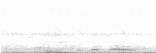 hrdlička kropenatá - ML619214904