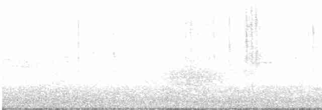 Новозеландская веерохвостка - ML619215063