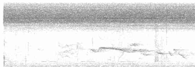 Воробьиная кукушка - ML619215289