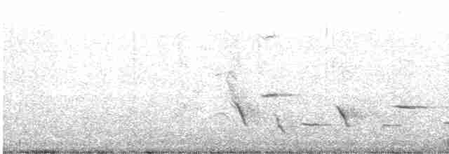 Méliphage carillonneur - ML619215449