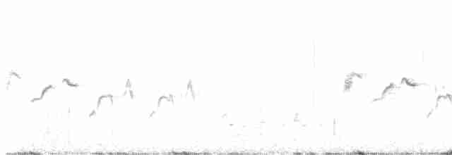 Скрытный ложнокрапивник - ML619216267