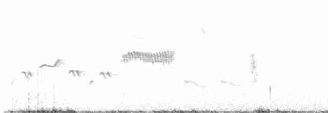 Скрытный ложнокрапивник - ML619216334