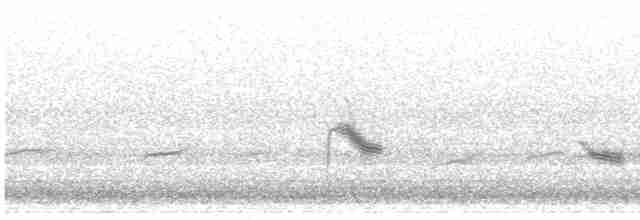 Gri Yanaklı Bülbül Ardıcı - ML619216463