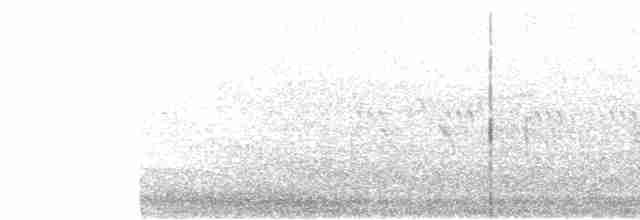 Червоїд сіроголовий - ML619216729