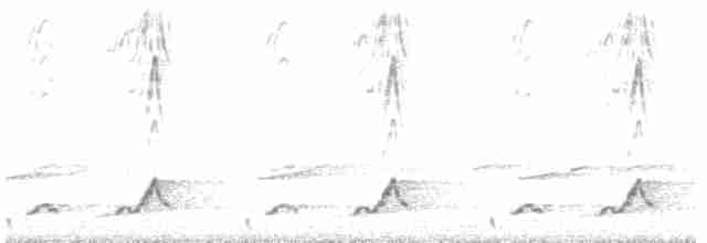 Schwarzkehl-Nachtschwalbe - ML619217029