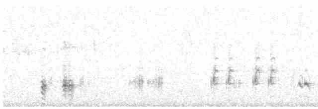 Great Reed Warbler - ML619217661