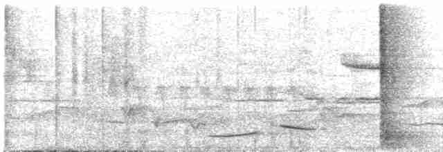 Коструба плямистокрила - ML619219084