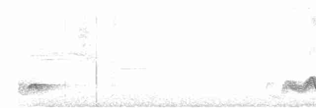 Малаккская кустарница - ML619219267