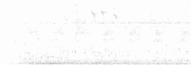 Сероспинная вилохвостка - ML619219391